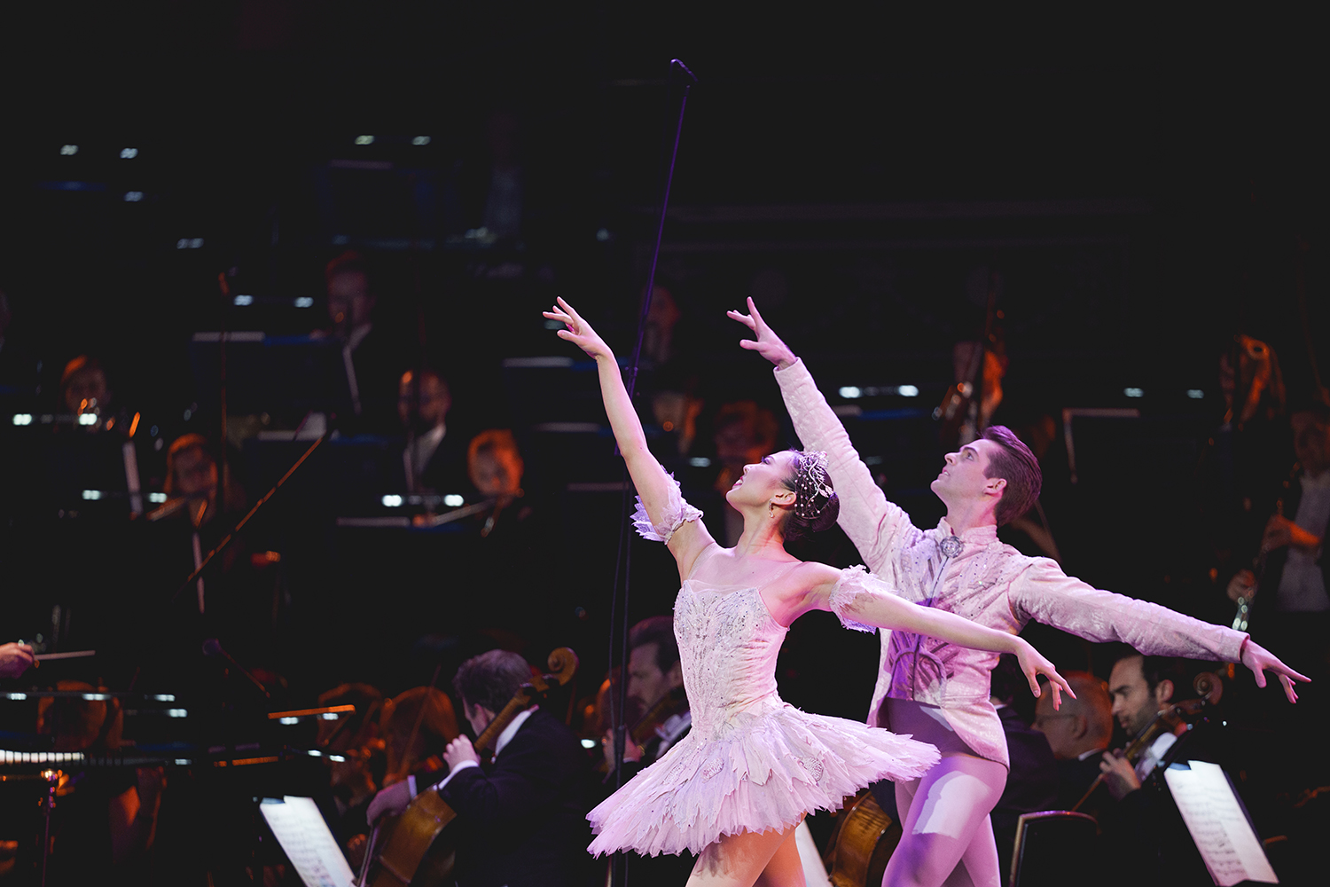 RPO at the Royal Albert Hall © Andy Paradise