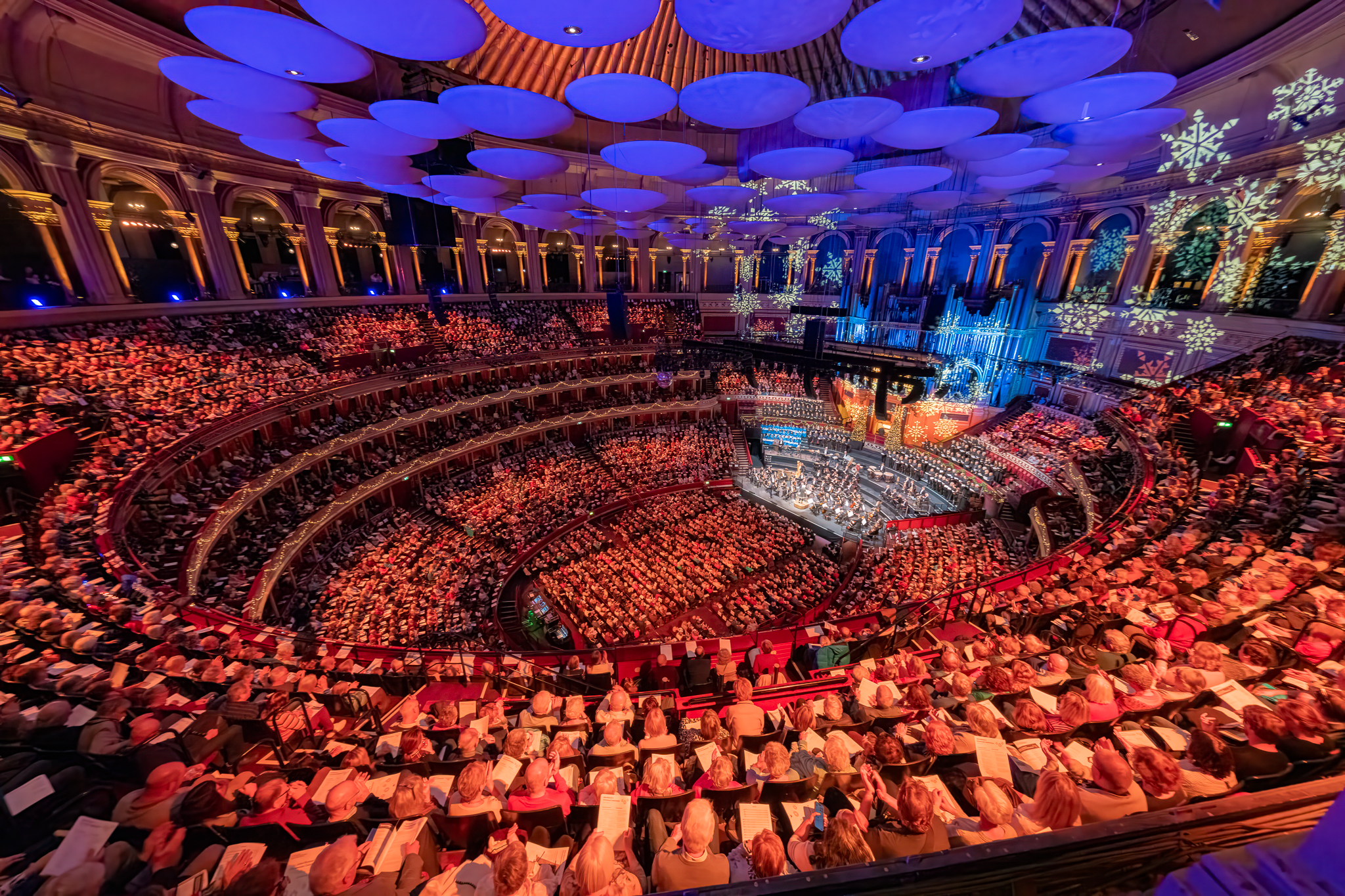 RPO at RAH by Duncan Wood   Dec 2024 27