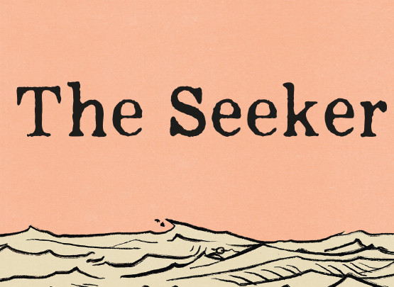 The Seeker RPO 555x405.jpg