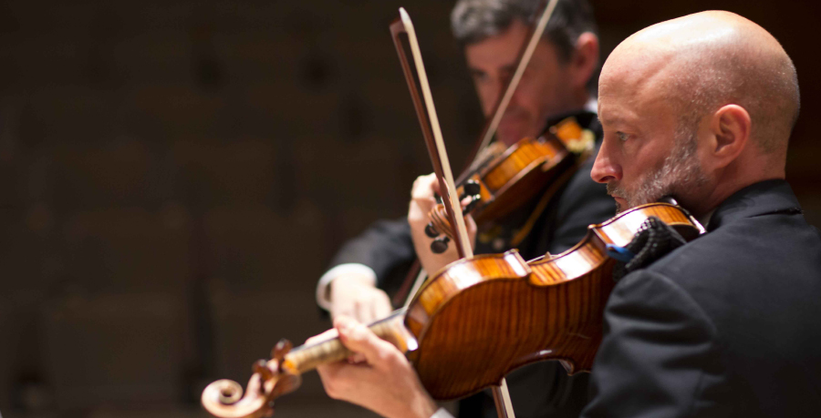 RPO Player Erik Chapman playing the violin in concert.